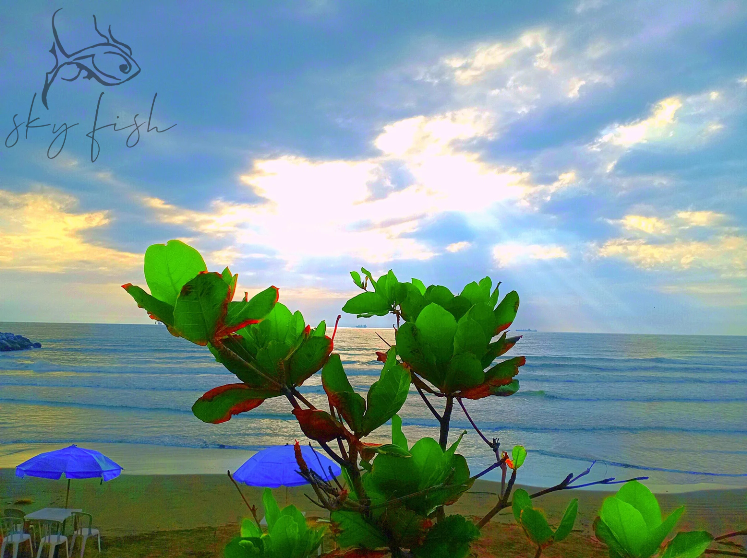 Sky Fish Blue Umbrella